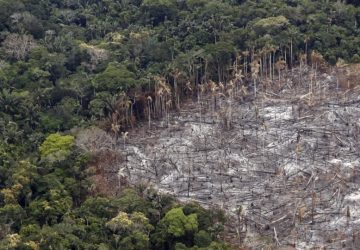 UE proíbe importação de madeira e soja se causar desmatamento na origem