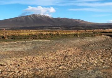 Rio coloca agricultores chilenos em pé de guerra com a Argentina: oposição a Boric quer processo em Haia