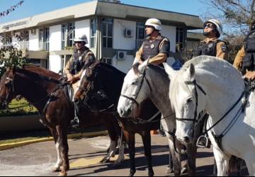 Polícia Montada intensifica patrulhamento em Almirante Tamandaré para reforçar Segurança cidade