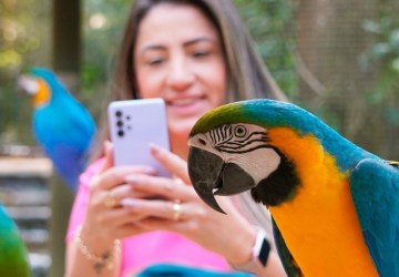 Conecta oferece experiência imersiva, alimentação de aves e gastronomia com PANCs