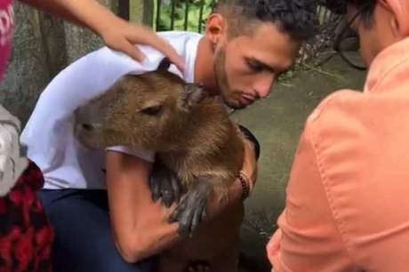 Capivara Filó é devolvida para Agenor Tupinambá