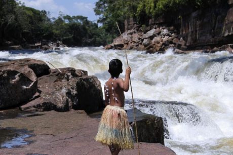 Atuação de grupos criminosos acelera a devastação da Amazônia colombiana