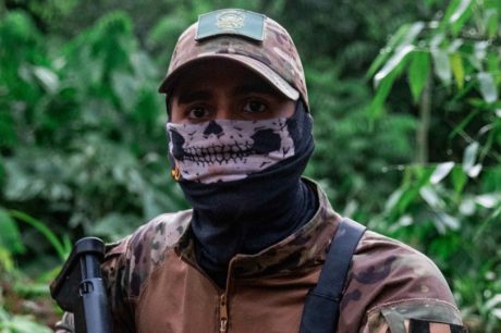 Tráfico de drogas está acelerando a devastação da Amazônia, conclui novo relatório da ONU