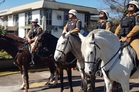 Polícia Montada intensifica patrulhamento em Almirante Tamandaré para reforçar Segurança cidade