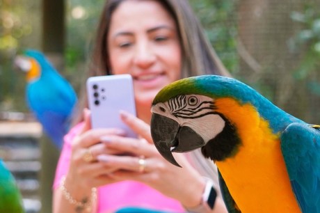 Conecta oferece experiência imersiva, alimentação de aves e gastronomia com PANCs